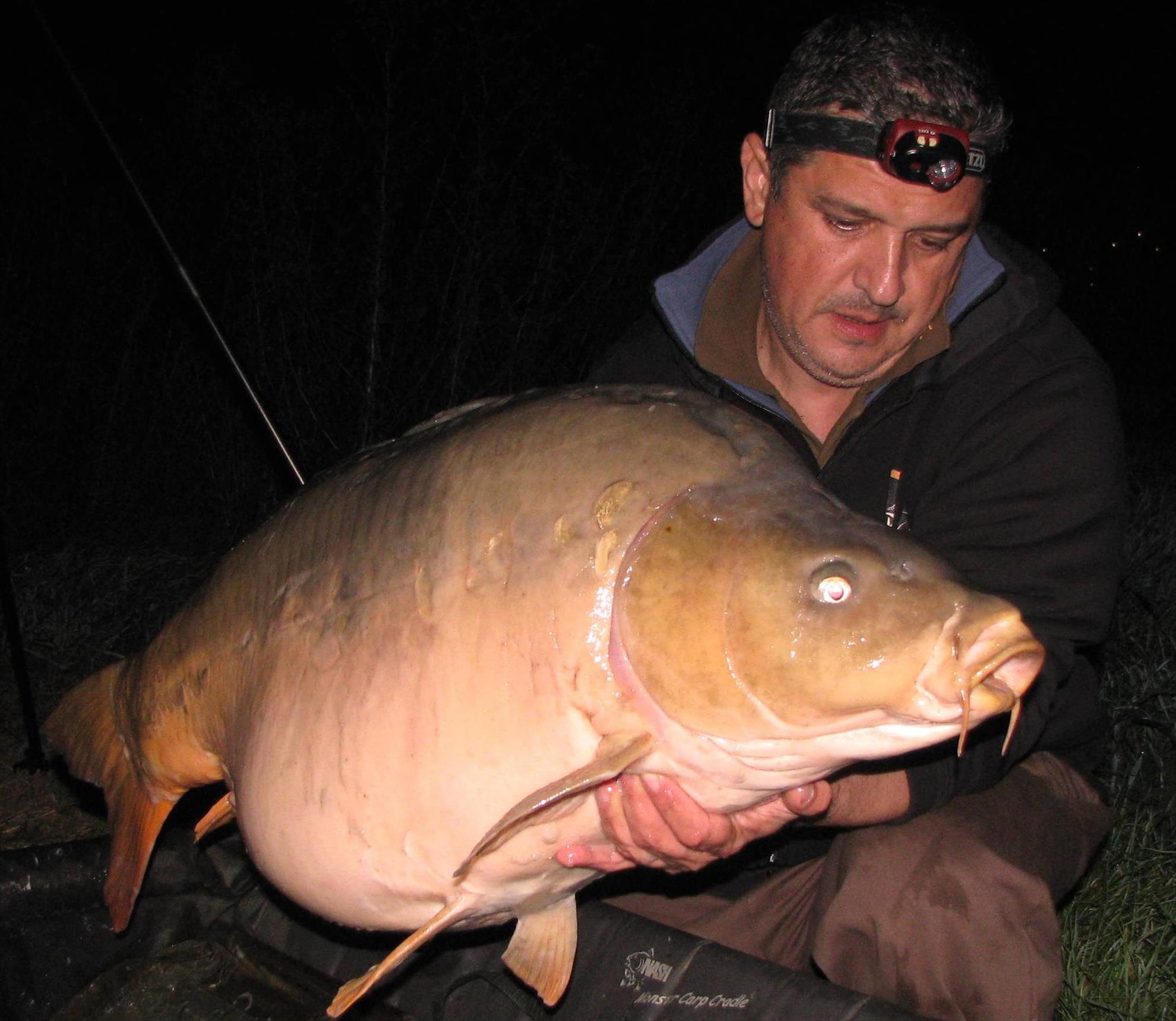 Harsany septembrie 2014 - 24,2 kg